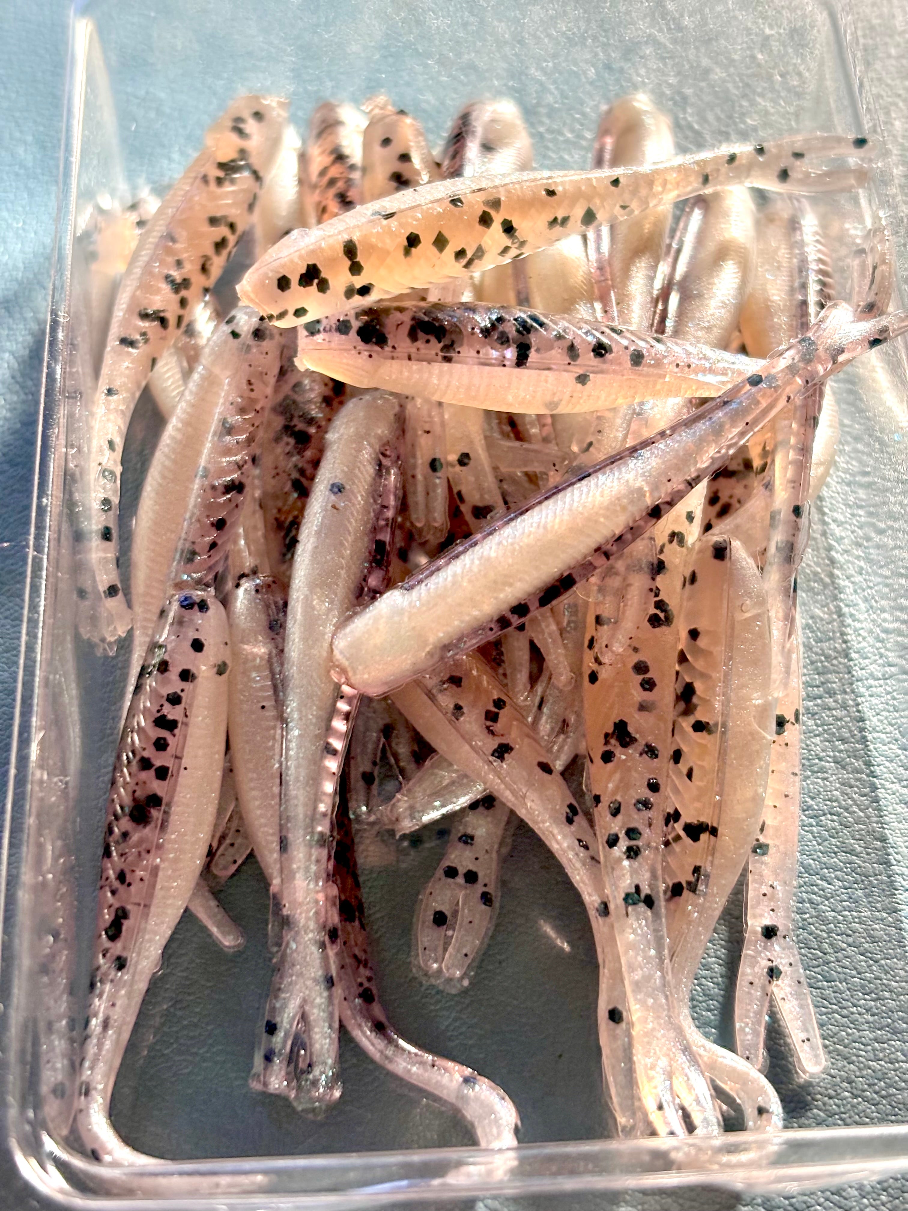 2" Shinner Crappie *Tracer Minnow*